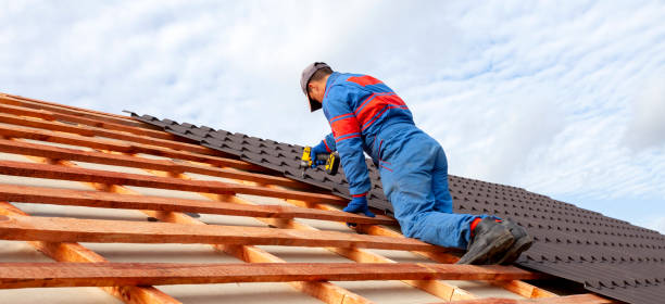 Best Roof Coating and Sealing  in Henry, IL